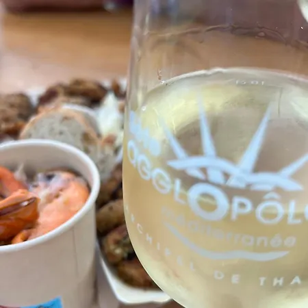 Confortable 2 Pieces A Avec Parking, Proche - Fr-1-338-11 * Sète