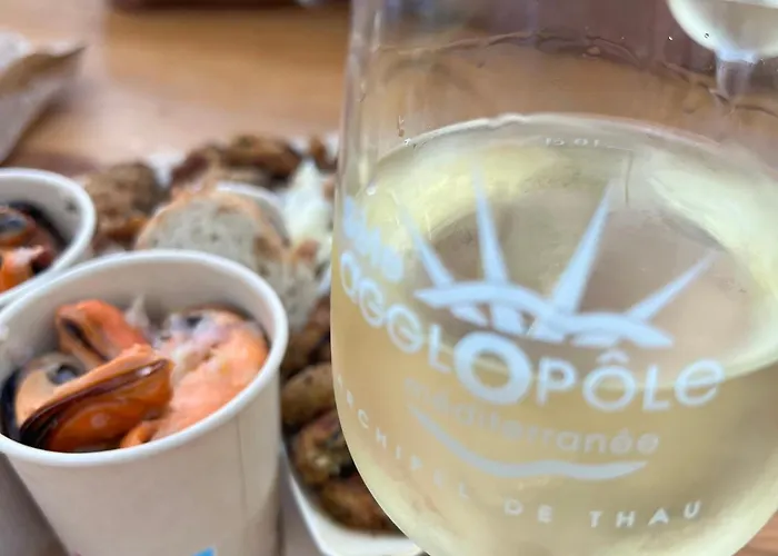 Confortable 2 Pieces A Avec Parking, Proche - Fr-1-338-11 * Sète